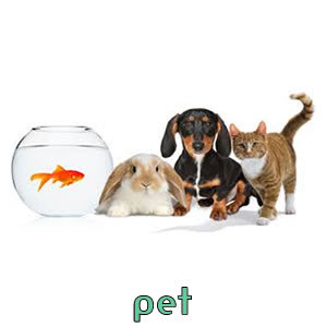 Pet
